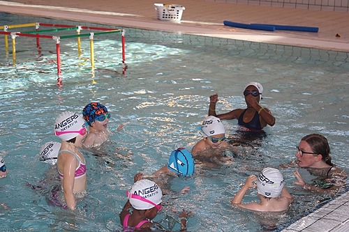 Représentation de la formation : BP JEPS Activités Aquatiques et de la Natation