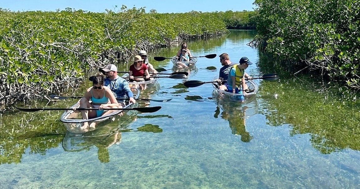 Clear Kayak Tour of Sugarloaf Key image 1