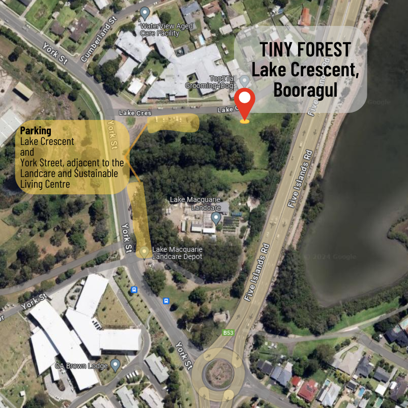 Site location and parking for Tiny Forest site
