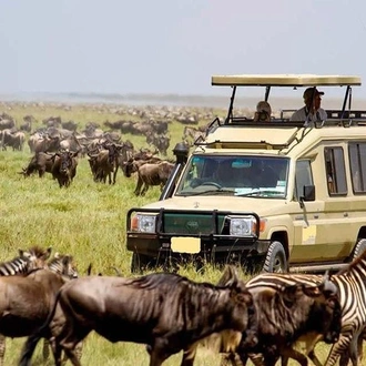 tourhub | Gracepatt Ecotours Kenya | 7 Days Best of Kenya Wildlife Safari on a 4x4 Land Cruiser Jeep 