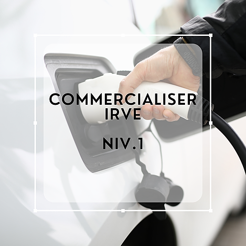 Représentation de la formation : Commercialiser l’IRVE - Niveau 1