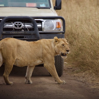 tourhub | Mbega African Safaris | 6Days Lodge Tanzania Safari 