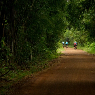 tourhub | Intrepid Travel | Cycle South East Asia 