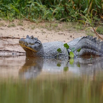 tourhub | Today Voyages | EN Xperience Peru + Rainforest Extension 3d/ 2n 