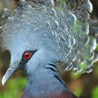 tourhub | World Expeditions | Secrets of Melanesia 