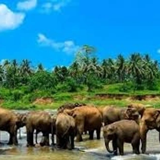 tourhub | Ceylon Travel Dream | Wildlife & Adventure Tour in Sri Lanka From 11 days 