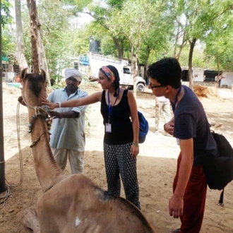 tourhub | Bamba Travel | India Voluntour (Jaipur) 15D/14N 