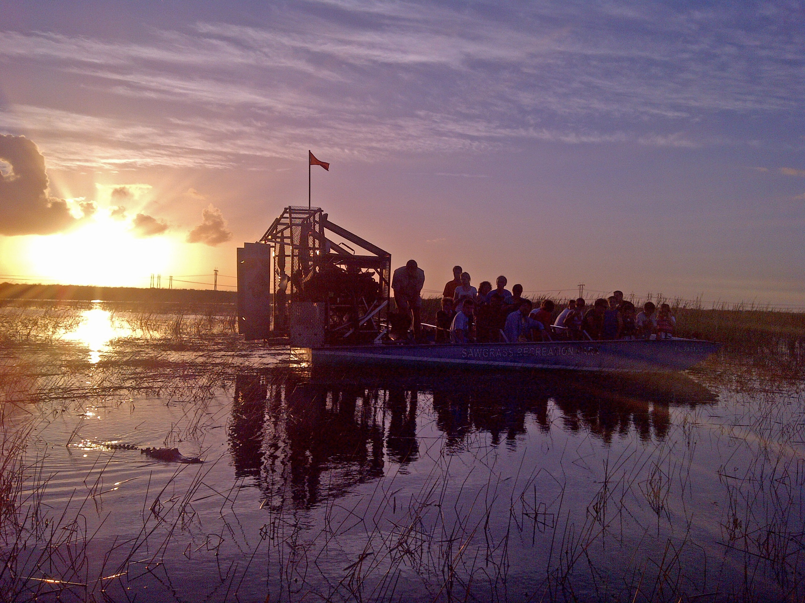 Gator Night Airboat Tour - Accommodations in Weston