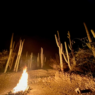 tourhub | Lupita Overland | Day of the Dead at Oaxaca 