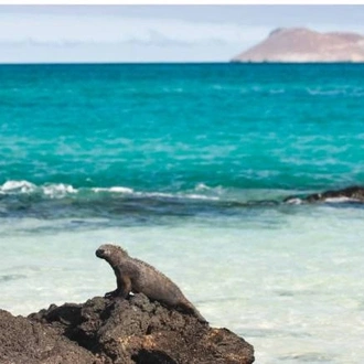 tourhub | World Expeditions | Galapagos Islands on Beluga 