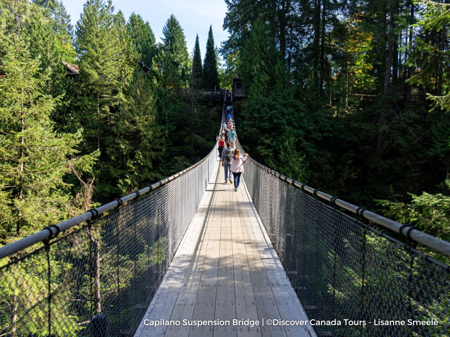 Discover North Vancouver & Capilano Suspension Bridge Day Tour