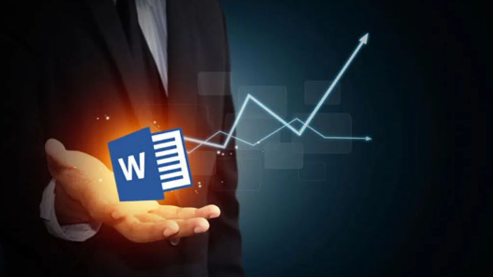 Représentation de la formation : Microsoft Word : Perfectionnement