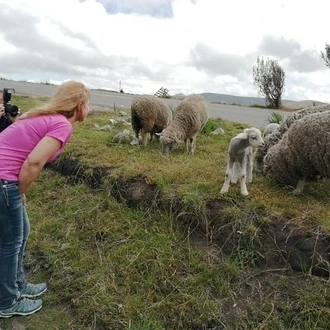 tourhub | Latin Adventures | 3-Day Private Adventure Tour to Cotopaxi Volcano, Quilotoa Lagoon & Baños 