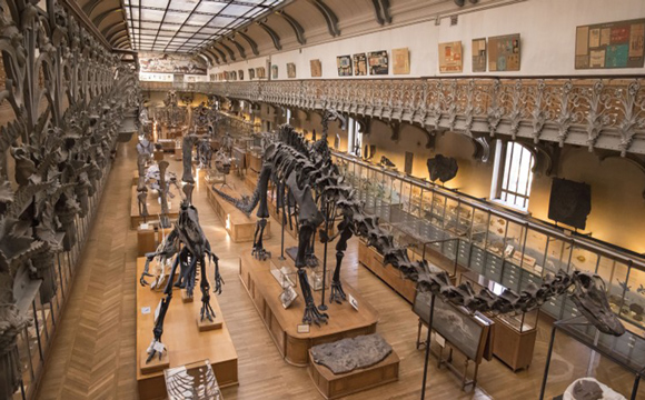 Museum d'histoire naturelle à Paris