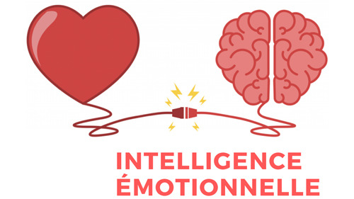 Représentation de la formation : L'intelligence émotionnelle