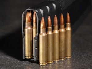 Introducing the 45 RAPTOR Cartridge for the AR-10 -The Firearm Blog