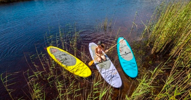 Stand-Up Paddleboard Rentals (Jackson Blue Springs)