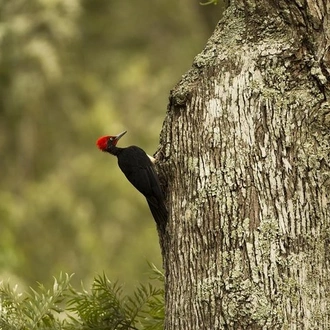 tourhub | Agora Voyages | Heritage and Wildlife Trail: Discovering Mysore, Bandipur, and Somanathpur 