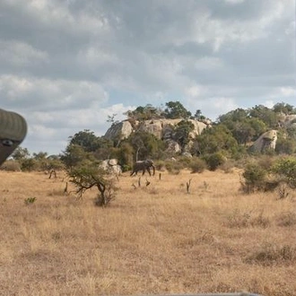 tourhub | G Adventures | Southern Africa: National Parks of Zimbabwe & Kruger Wildlife Tracking 