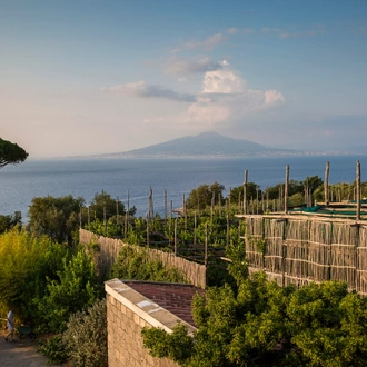 tourhub | G Adventures | Local Living Italy—Sorrento 