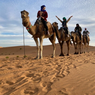 tourhub | Morocco Private Tours | 14 Days  Best of Morocco 