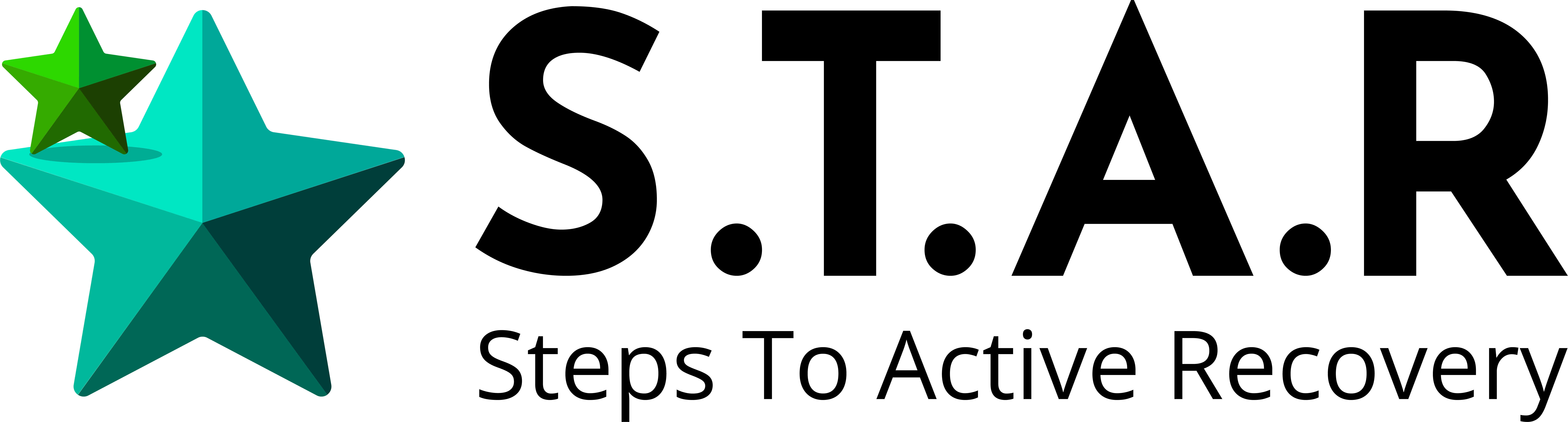 STAR Logo square (72dpi no whitespace).png