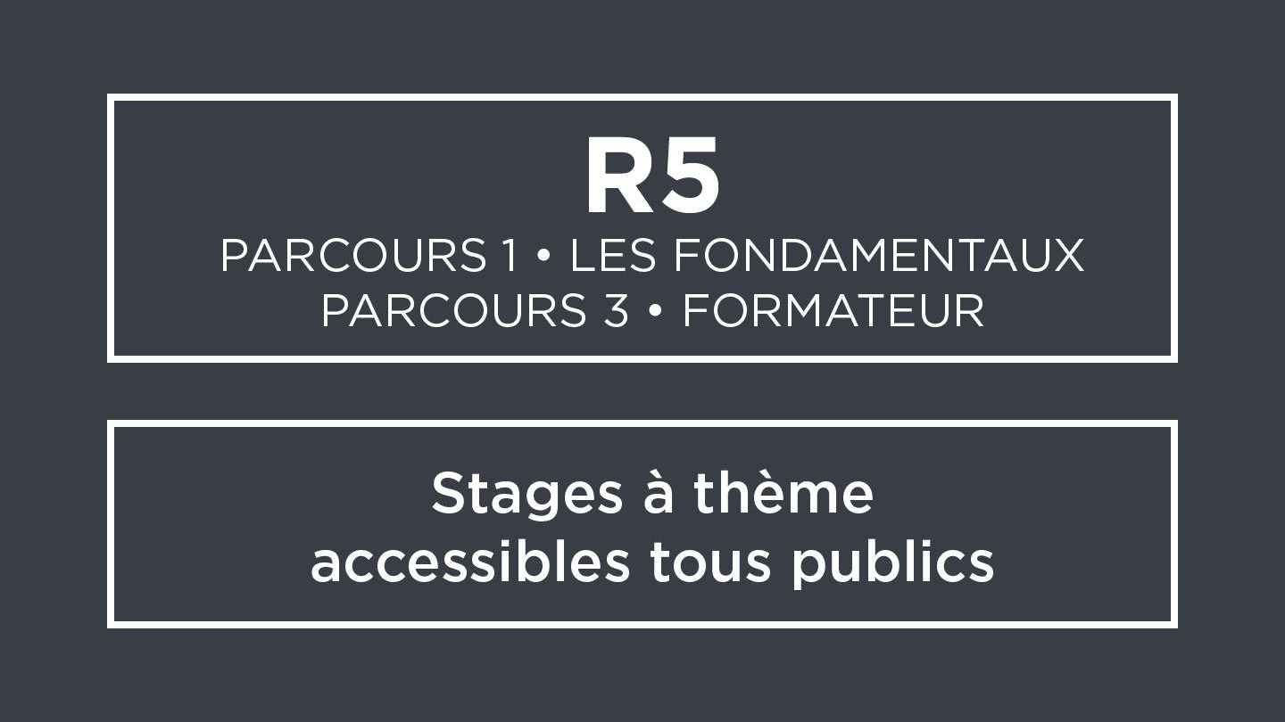 Représentation de la formation : Module R5 - Accompagner par le jeu