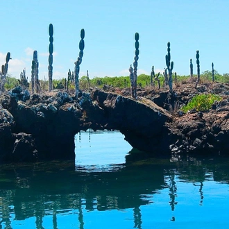 tourhub | Ecuador Galapagos Travels | 5 Days Galapagos Expedition Tour 