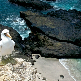 tourhub | Ecuador Galapagos Travels | 5 Days San Cristobal Island Wonders 