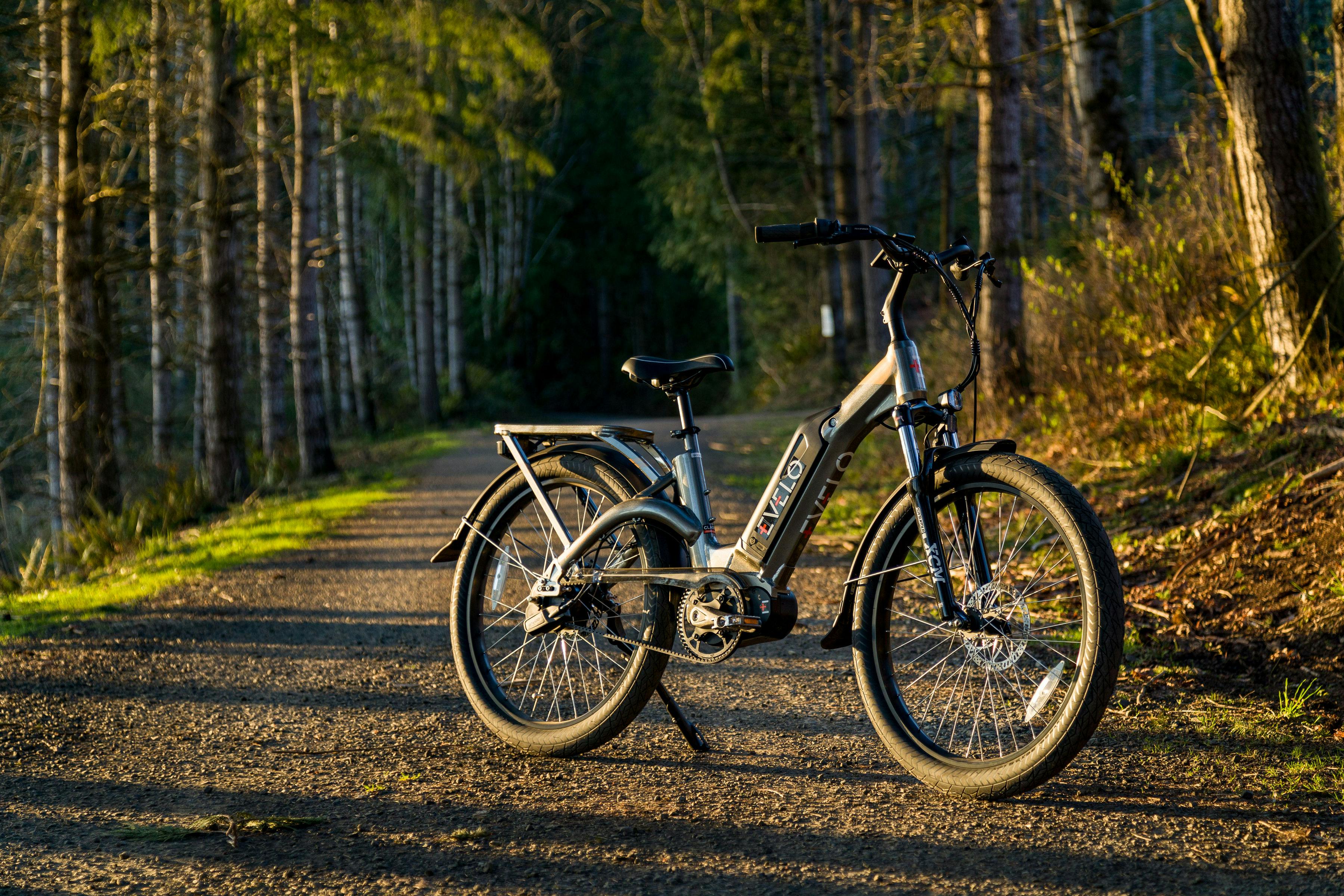 e-Bike on the road in the forest