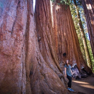 tourhub | Intrepid Travel | Best of California's National Parks 