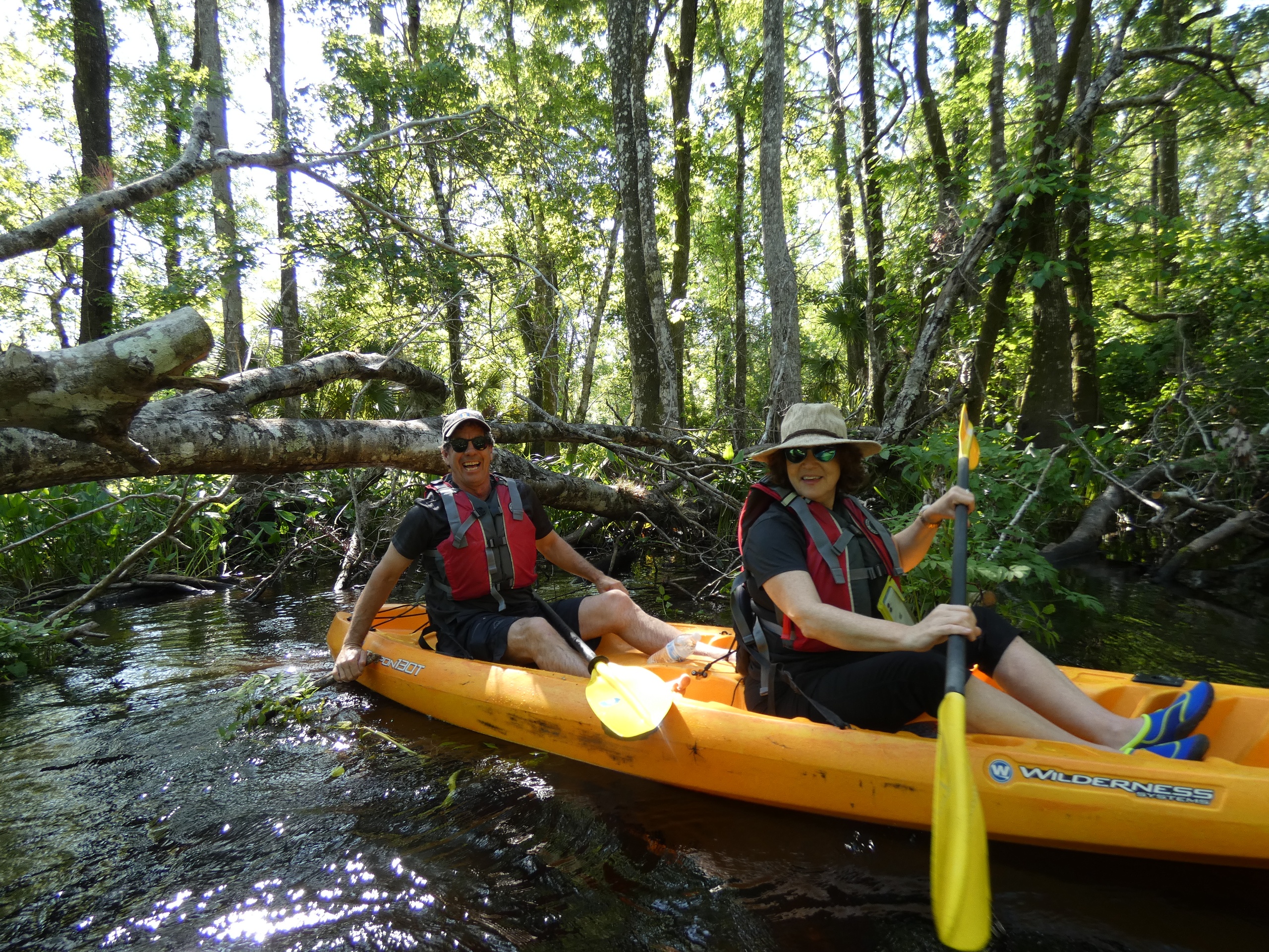 Nature Escape Kayak Adventure on Blackwater Creek