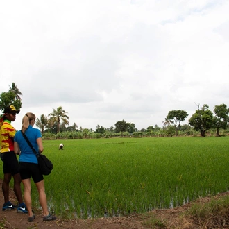 tourhub | SpiceRoads Cycling | Cycling Kilimanjaro to the Indian Ocean  