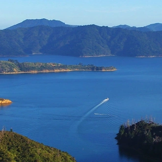 tourhub | Intrepid Travel | Walk New Zealand's Queen Charlotte Track 