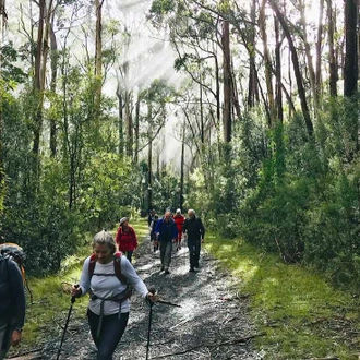 tourhub | Intrepid Travel | Hike the Great Ocean Walk 