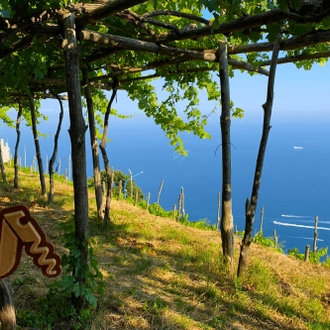 tourhub | Angel Wine Experiences | Campania: A Land of Beauty, Flavor, and History 