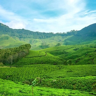 tourhub | Agora Voyages | Majestic Munnar Getaway from Madurai 