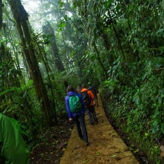 tourhub | G Adventures | Costa Rica: Monteverde and La Fortuna 