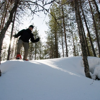 tourhub | Exodus Adventure Travels | Snowshoeing in Finland 