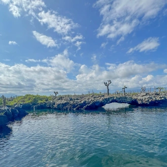 tourhub | Ecuador Galapagos Travels | 10 Days Galapagos Islands (Santa Cruz - Isabela) 