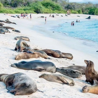 tourhub | Encounters Travel | Galapagos Essentials 