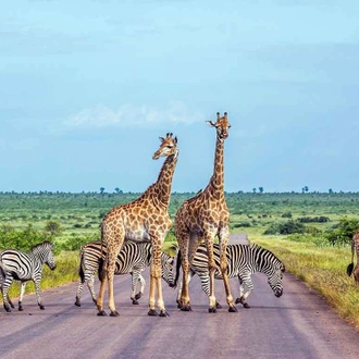 tourhub | The Mzansi Experience | 4-Day Kruger National Park Big 5 & Panorama Route Tented Safari 