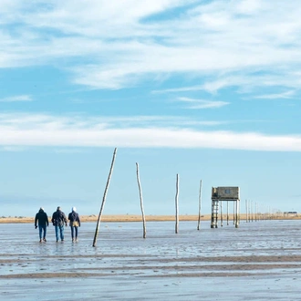 tourhub | Explore! | Walk Northumberland 