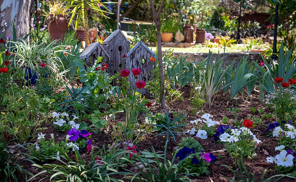 Roger's much loved colourful garden