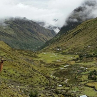 tourhub | Unu Raymi Tour Operator & Lodges | Lares Valley Trek & Explore Machu Picchu 