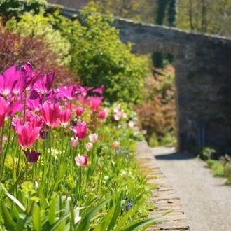 tourhub | Travel Editions | The Great Gardens of Snowdonia and Anglesey Tour 