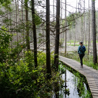 tourhub | Exodus Adventure Travels | Walking Canada’s Sunshine Coast 