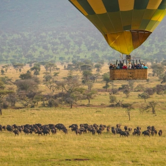 tourhub | Jossec Tours and Safaris | 5 Days Masai Mara, Lake Nakuru, Lake Naivasha Magical Wildlife Safari in Kenya 