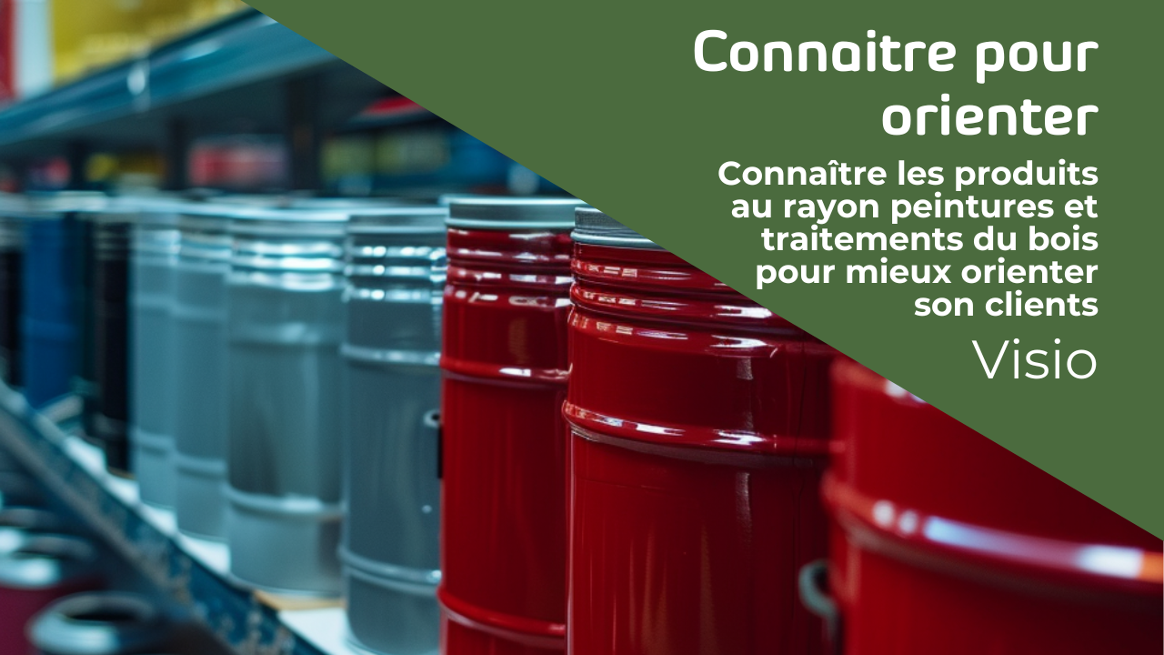 Représentation de la formation : CONNAITRE LES PRODUITS AU RAYON PEINTURES ET TRAITEMENTS BOIS POUR MIEUX ORIENTER SON CLIENT