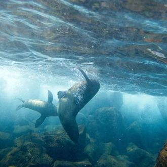 tourhub | G Adventures | Galápagos — North & Central Islands aboard the Eden 